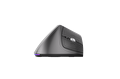 Pusat Ergo Kablosuz Dikey Mouse 23112