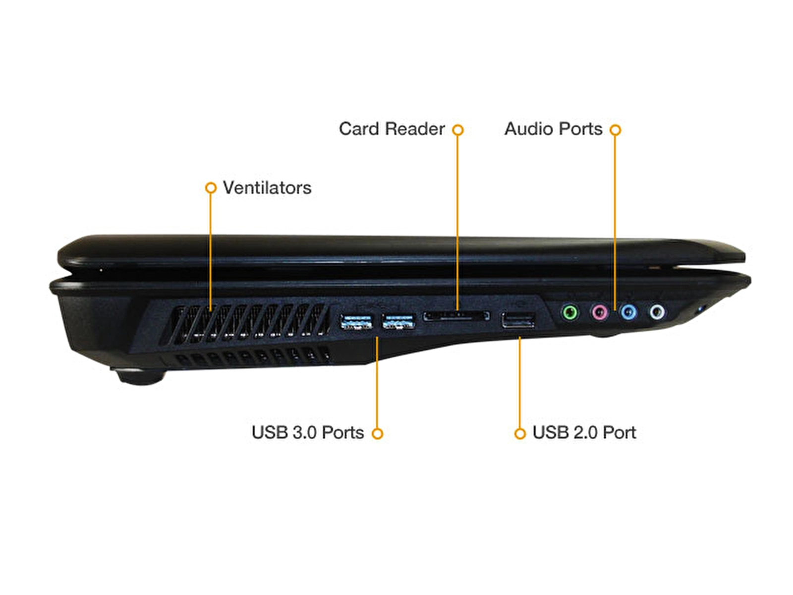 MONSTER® Q63MS-176260 17.3" 8691