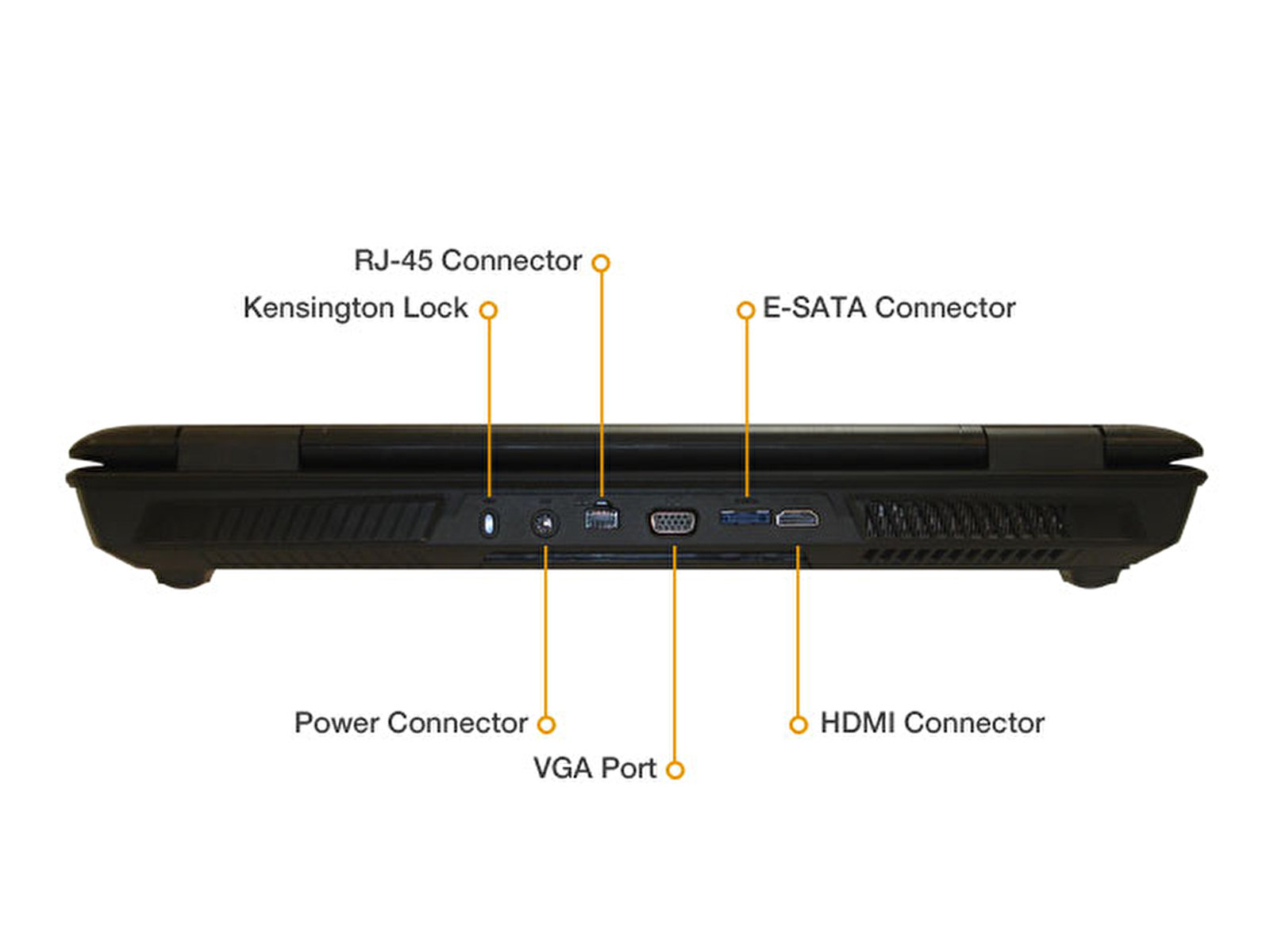 MONSTER® Q63MS-176260 17.3" 8696