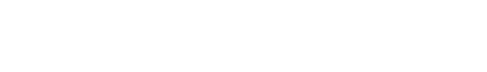 fast-logo