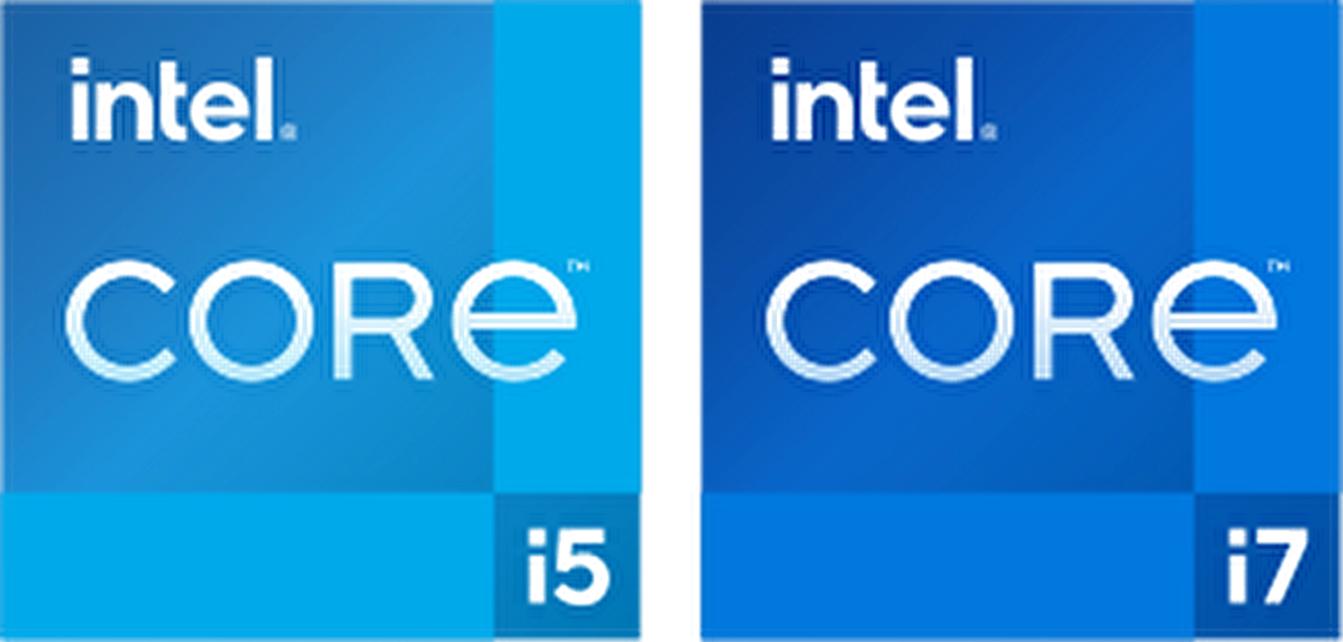 section-1-intel