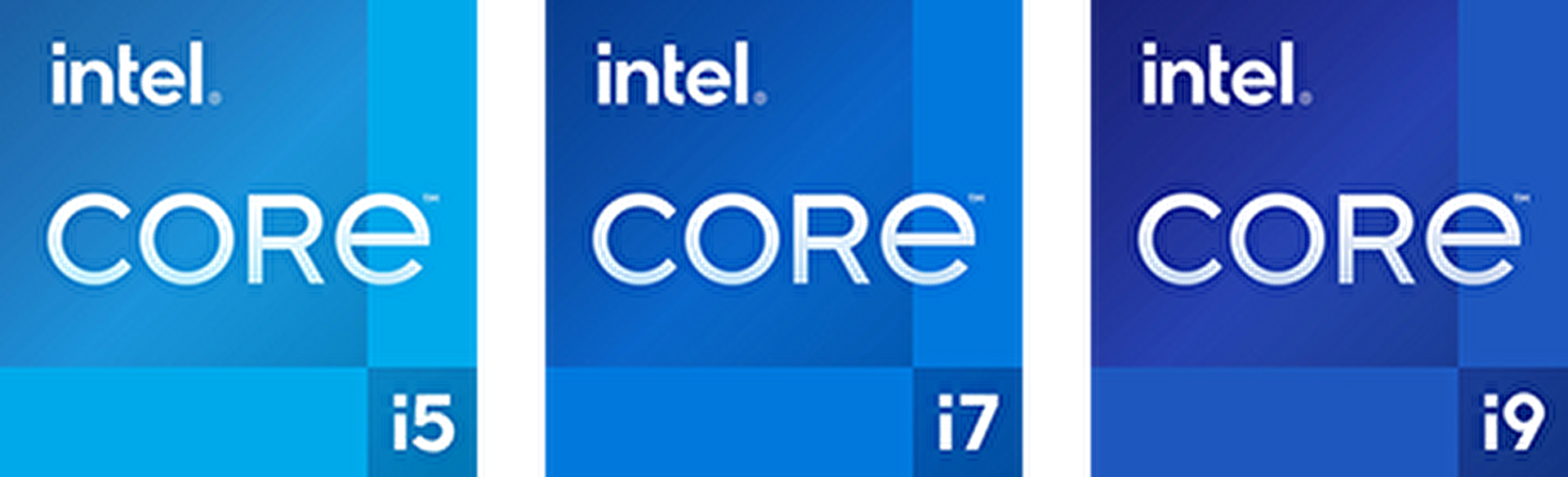 section-1-intel