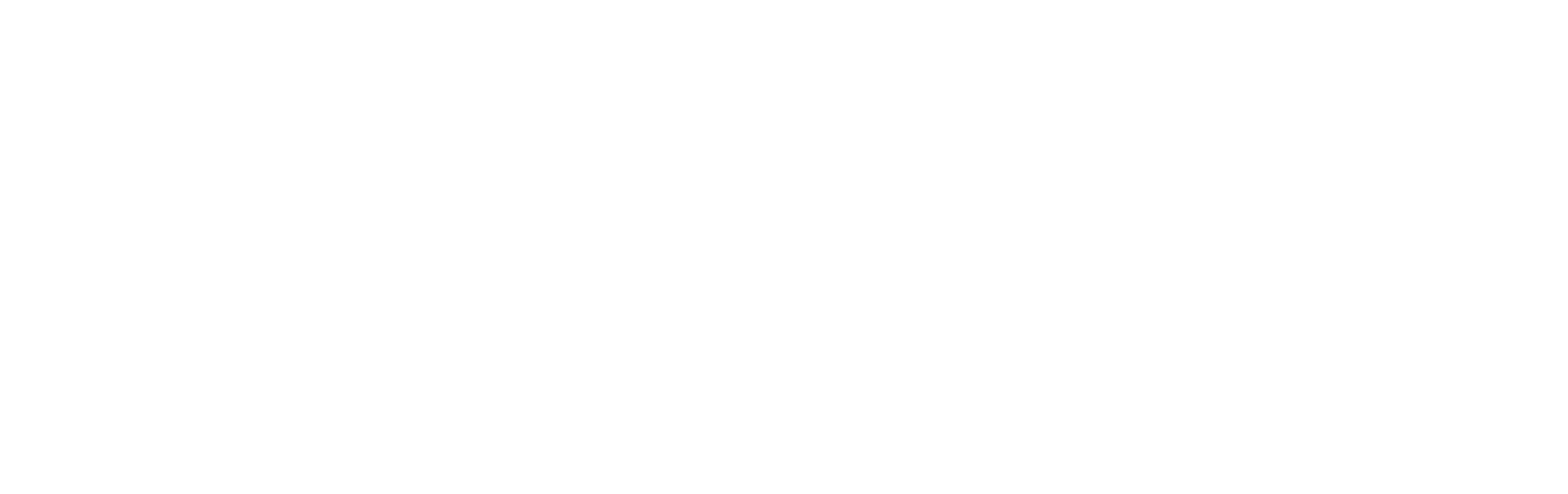 section-5-badge