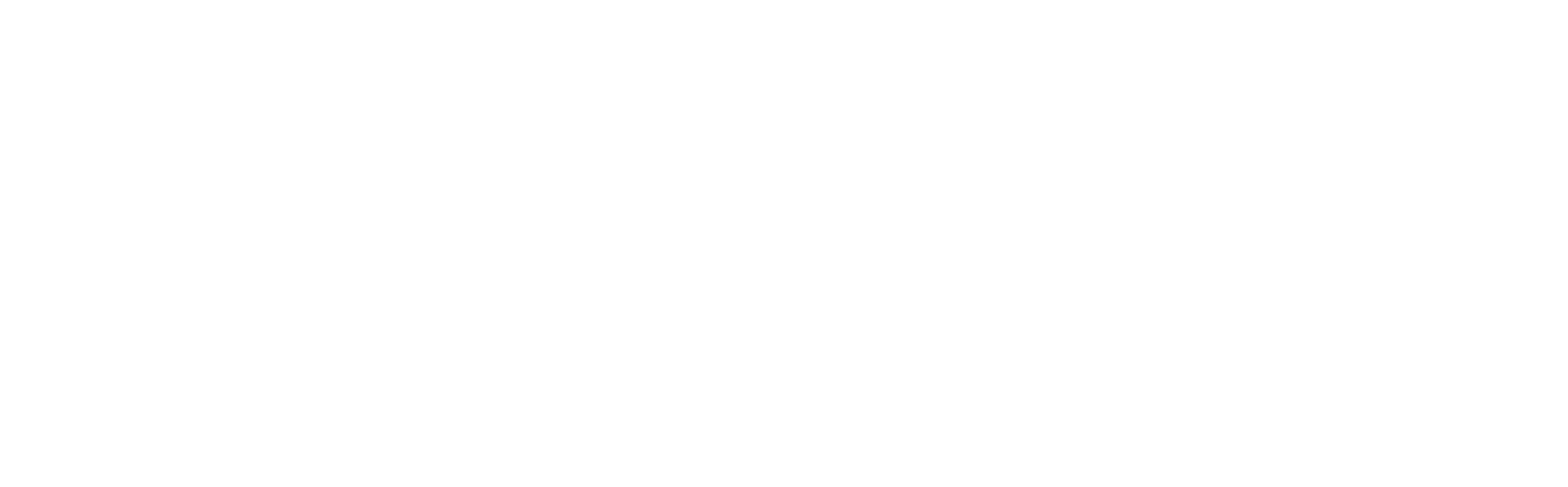 section-5-badge