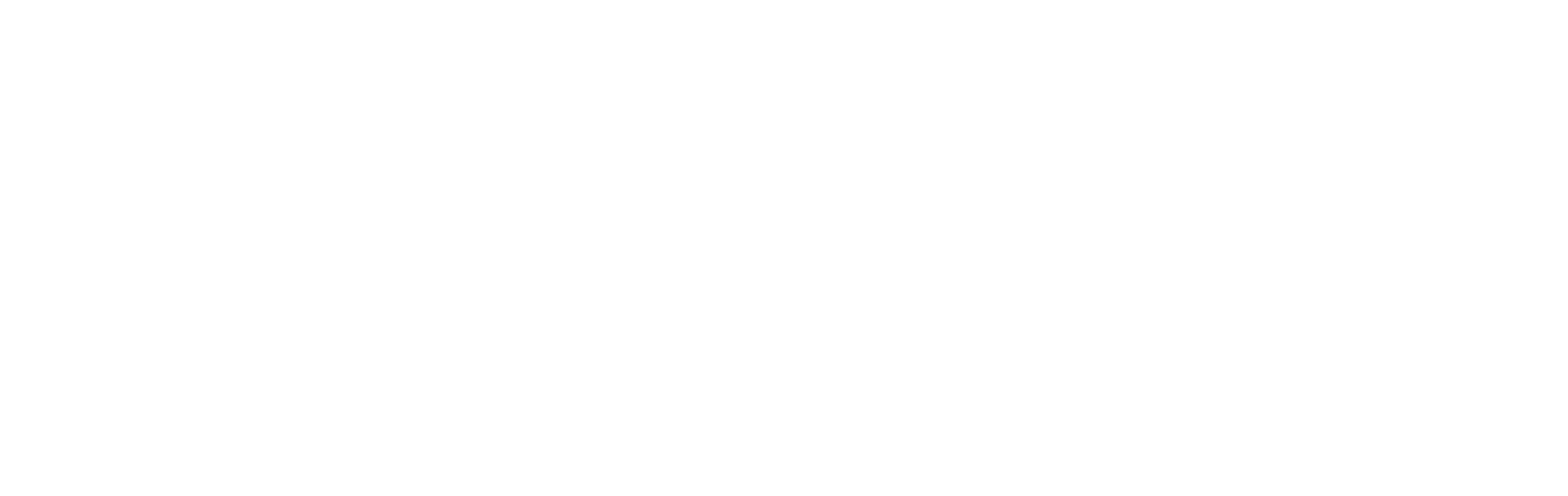 section-5-badge