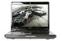 MONSTER X56D900F280 17.1"