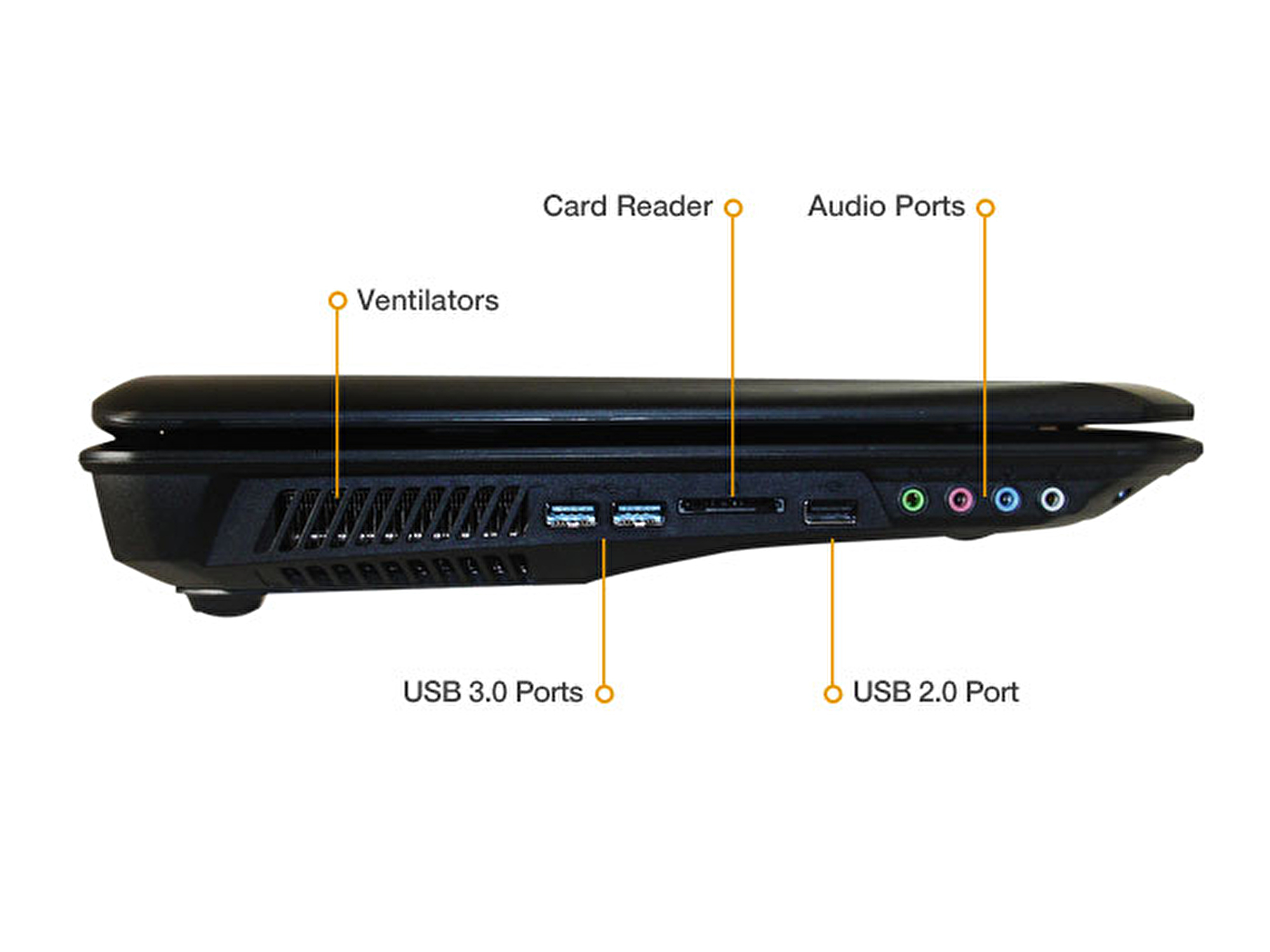 MONSTER® Q63MS-176260 17.3" 8691