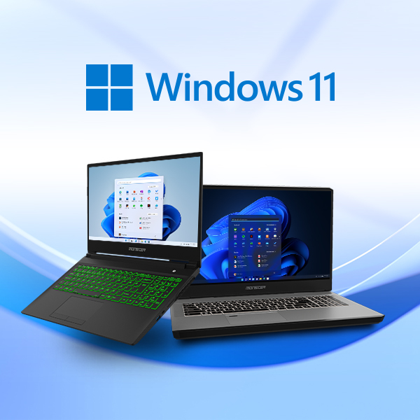 Windows 11