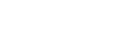 section-1-icon