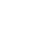section-1-icon