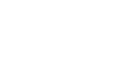 section-1-icon