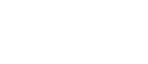 section-1-icon