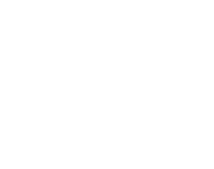 section-1-icon