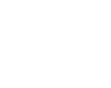 section-2-icon