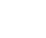 section-2-icon