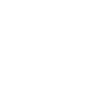 section-2-icon