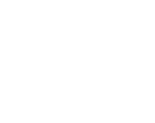section-2-icon