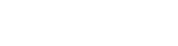 section-5-badge
