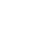 section-5-badge