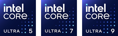 section-1-intel