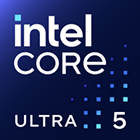section-1-intel