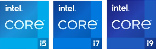 section-1-intel