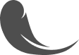 feather-icon