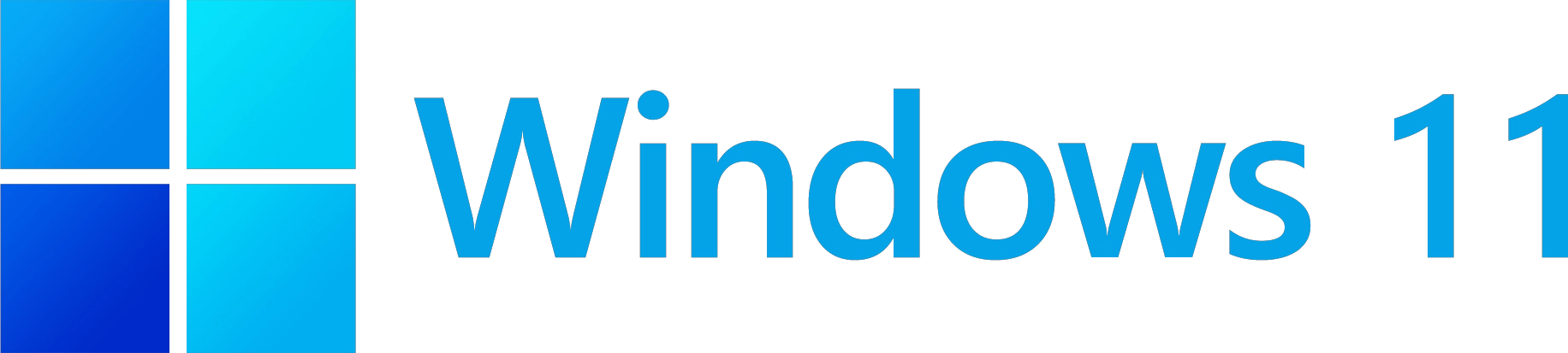 Windows 11