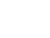 section-1-icon