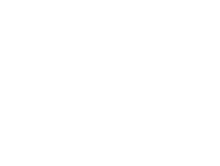 section-1-icon