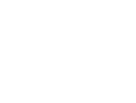 section-1-icon
