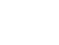section-1-icon