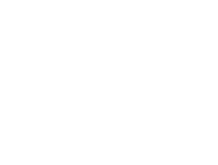 section-1-icon